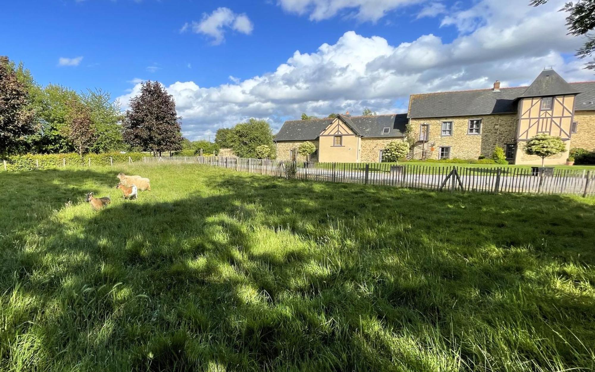 Appart' D'Hotes , Ch Et Gite Au Manoir De La Haute Pilais Chantepie Esterno foto